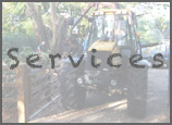 Chubb Tree Care : Services